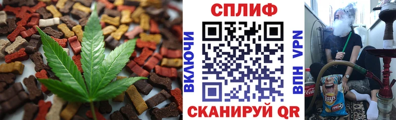 Cannafood конопля  Лыткарино 