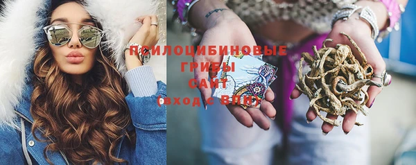 гидропоника Балахна
