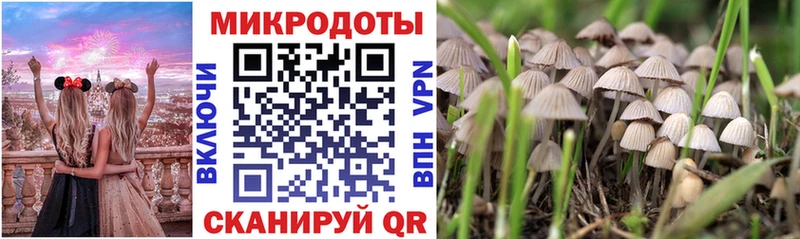 Псилоцибиновые грибы прущие грибы  Лыткарино 